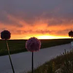 Guest house Camonogaarden B&b, Darksky And Events 3*