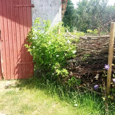 Camonogaarden B&b, Darksky And Events Guest house 3*