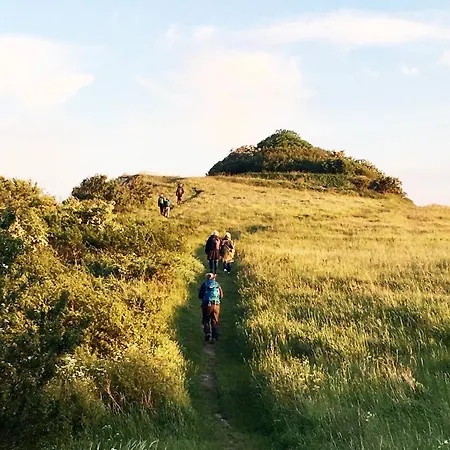 Camonogaarden B&b, Darksky And Events 3* Borre