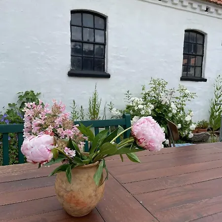 Camonogaarden B&b, Darksky And Events