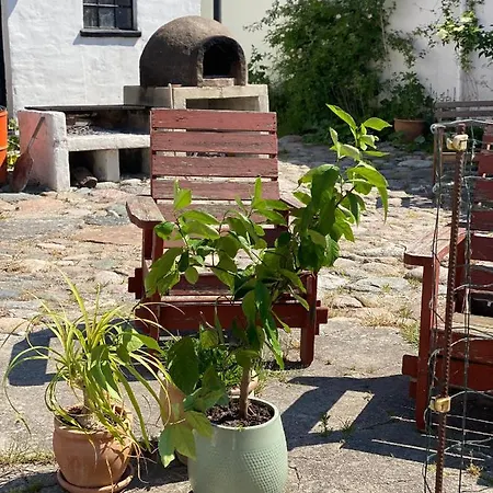 ゲストハウス Camonogaarden B&b, Darksky And Events