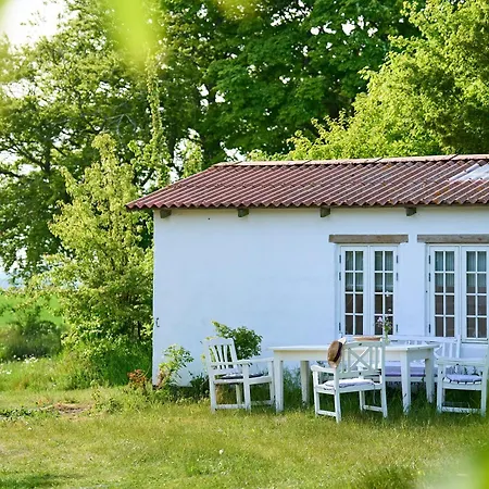 Camønogaarden Et B&b, Kursus Center Og Refugie På østmøn 3* Borre
