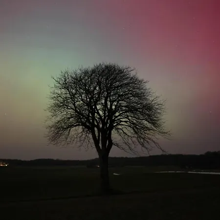 Camonogaarden B&b, Darksky And Events ゲストハウス 3*