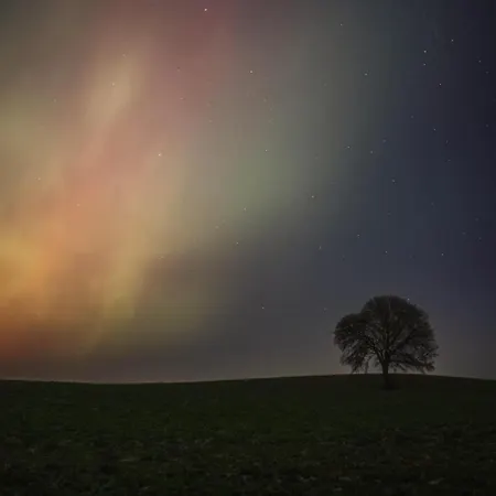 Camonogaarden B&b, Darksky And Events ゲストハウス 3*