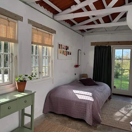 ゲストハウス Camonogaarden B&b, Darksky And Events