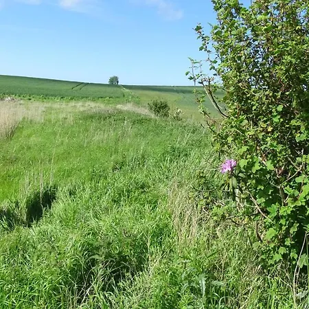 Camonogaarden B&b, Darksky And Events 3* Borre