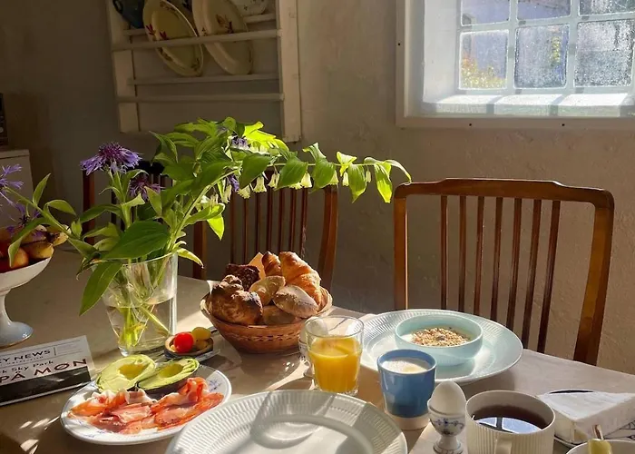 Camønogaarden Et B&b, Kursus Center Og Refugie På østmøn Gæstehus Borre